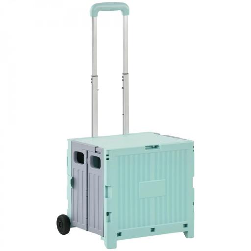 Carrito para Supermercado con 2 Ruedas Longitud de Mango Ajustable Capacidad 32 Litros 41,5x32,5x85 cm Verde [8]