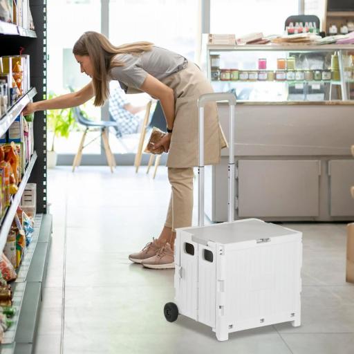 Carrito para Supermercado con 2 Ruedas Longitud de Mango Ajustable Capacidad 32 Litros 41,5x32,5x85 cm Blanco