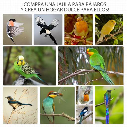 Jaula para Pájaros de Madera con 3 Puertas 4 Perchas Bandeja Extraíble y Techo Asfáltico 80,5x57x153 cm Gris Claro [3]