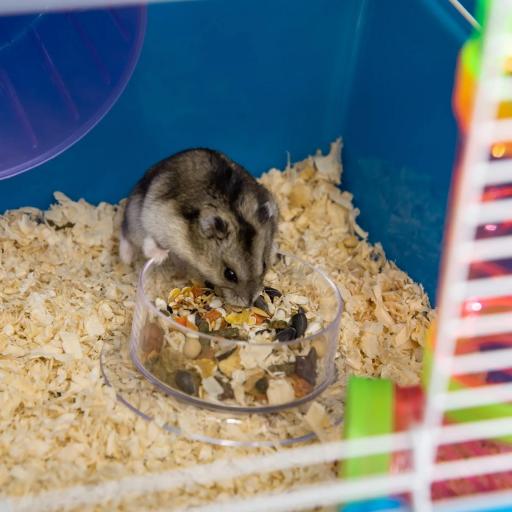 Jaula para Hámster con Túnel Plataformas Cuenco Bebedero Casita Rampas y Rueda de Ejercicio 59x36x69 cm Azul [7]