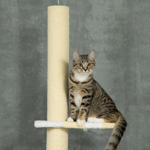 Árbol para Gatos de Suelo a Techo con Altura Ajustable Poste de Sisal y Bola para Jugar 47x34x220-260 cm Crema [6]
