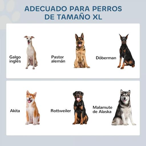 Comedero Elevado para Perros Grandes con 2 Cuencos de 2000ml y Almacenamiento Oculto 60x30x41 cm Gris [2]