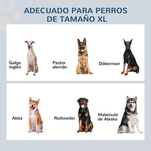 Cuencos para Perros con 2 Tazones de Acero Inoxidable y Espacio de Almacenaje Oculto 60x30x41 cm Blanco [2]