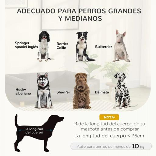 Sofá para Perros Grandes y Medianos Tapizada en Chenilla con Cojín Lavable y Patas de Madera de Pino Gris Oscuro [2]