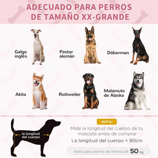 Cama Elevada para Perros Gatos Portátil Cama para Mascotas con Zona de Malla Transpirable y Tela Oxford para Interior Exterior 122x92x23 cm Rojo [5]