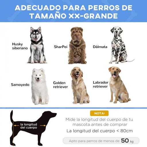 Cama Elevada para Perros Gatos Portátil Cama para Mascotas con Zona de Malla Transpirable y Tela Oxford para Interior Exterior 122x92x23 cm Azul [5]