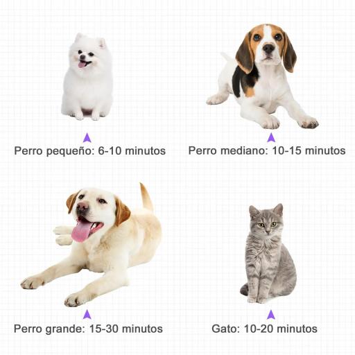 Secador de Pelo para Mascotas 2800W con Temperatura y Velocidad del Viento Ajustable 40x16x20 cm Negro y Púrpura [4]