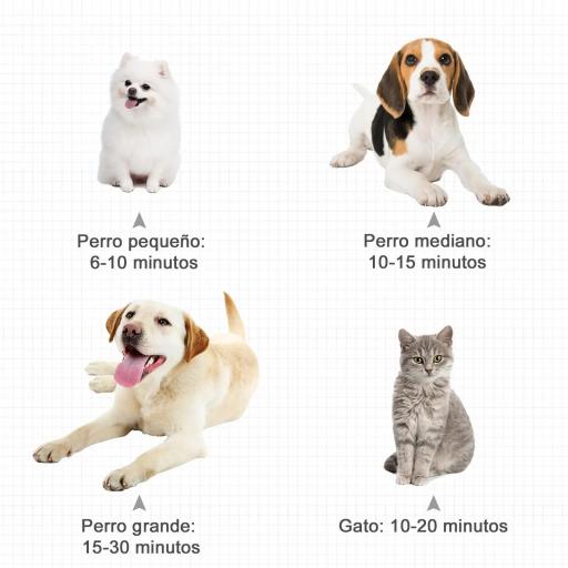 Secador de Pelo para Perros 2800W Secador para Mascotas con Temperatura y Velocidad del Viento Ajustable 3 Boquillas Tubo Flexible 2,1 m y Asa Portátil 40x16x20 cm Negro [4]