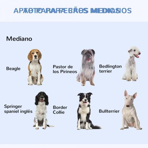 Jaula para Perros Plegable Jaula para Perros Medianos con 2 Puertas Bandeja Extraíble Asa y Marco de Alambre Acero 106x68x76 cm Negro [3]