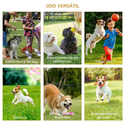 Conjunto 4 Obstáculos de Entrenamiento para Perro Set de Agilidad para Mascotas Estable Altura Ajustable de Aro con Túnel Postes y Bolsa Transporte Amarillo [2]