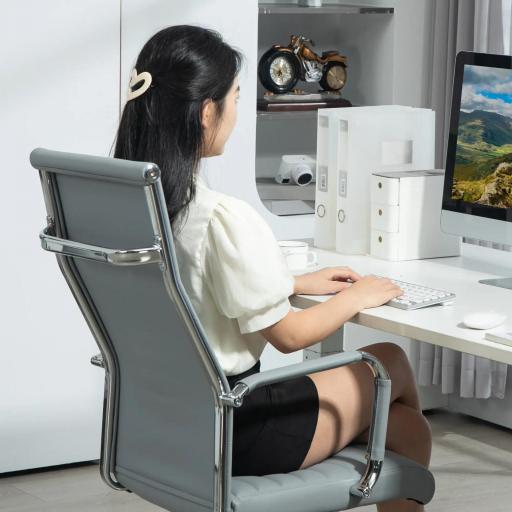 Silla de Escritorio Giratoria con Respaldo Alto Altura Ajustable Función Basculante y Reposabrazos Gris Claro [7]