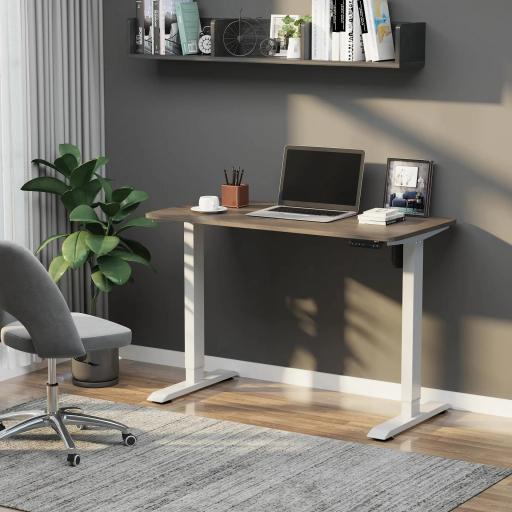 Escritorio Eléctrico de Pie 120x60x72-116 cm Macro de Escritorio de Altura Ajustable con 4 Teclas de Memoria Automática Inteligente para Oficina Casa Blanco