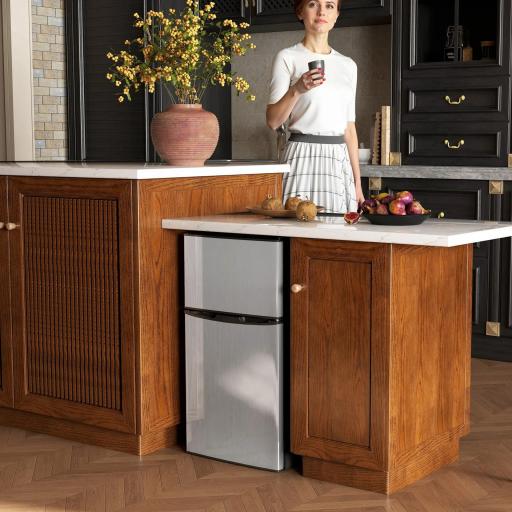 Mini Nevera Silenciosa 88 L Clase E Bajo Encimera Temperatura Regulable 5 Niveles Puerta Reversible Luz Interior Negro