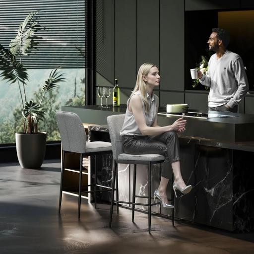 Set de 2 Taburetes Altos con Tapizado Aterciopelado y Patas de Acero para Cocina Comedor Barra 41x52x97 cm Gris [6]