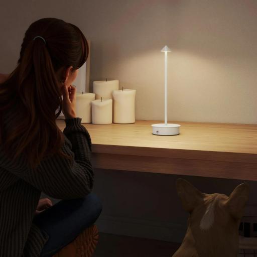 Juego de 2 Lámparas de Mesa LED Recargables con USB y Control Táctil y Luz Regulable Ø10x30 cm Blanco [2]