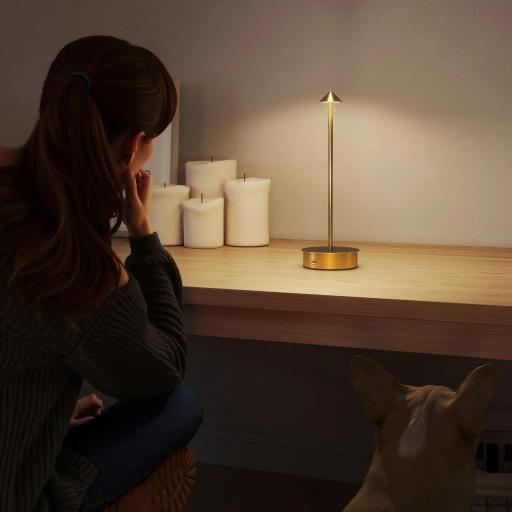 Juego de 2 Lámparas de Mesa LED Recargables con USB y Control Táctil y Luz Regulable Ø10x30 cm Dorado [5]