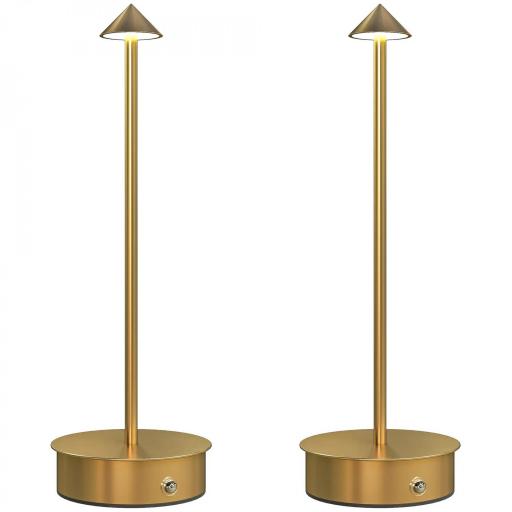Juego de 2 Lámparas de Mesa LED Recargables con USB y Control Táctil y Luz Regulable Ø10x30 cm Dorado [10]