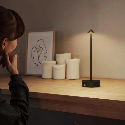 Juego de 2 Lámparas de Mesa LED Recargables con USB y Control Táctil y Luz Regulable Ø10x30 cm Negro [7]