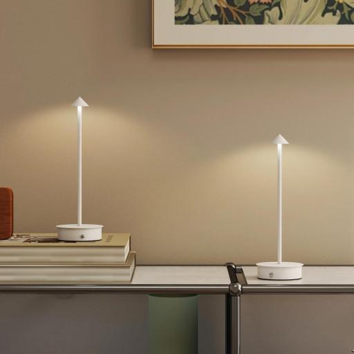 Juego de 2 Lámparas de Mesa LED Recargables con USB y Control Táctil y Luz Regulable Ø10x30 cm Blanco [6]