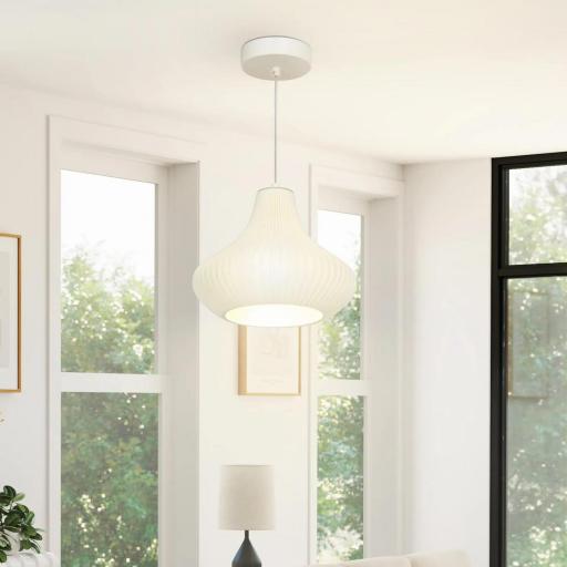 Lámpara de Techo LED Moderna Ø22x18 cm con Pantalla de Impresión 3D Luz Cálida de 3000K para Salón Dormitorio o Cocina [4]