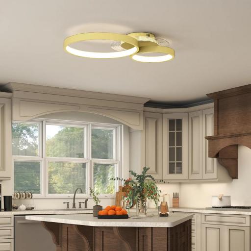 Lámpara de Techo LED 40W 3000 K/4000 K/6500 K para Dormitorio Salón Cocina Comedor Dorado [2]