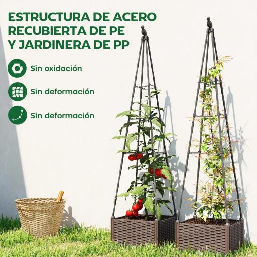 Jardinera con Enrejado Metálico para Plantas Trepadoras Maceta de PP con Orificios de Drenaje y Tapones 40x40x175 cm [5]