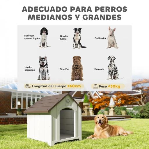 Caseta para Perros Exterior Casa para Perros Grandes de Plástico con 2 Ventanas Base Elevada Estacas Marrón Oscuro [7]