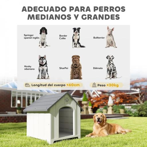 Caseta para Perros Exterior Casa para Perros Grandes de Plástico con 2 Ventanas Base Elevada Estacas Gris [2]
