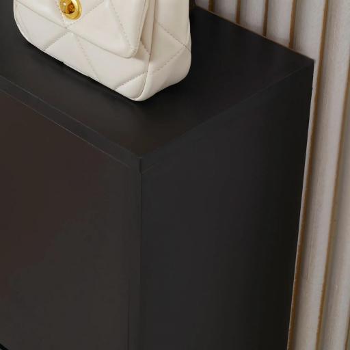 Zapatero de Entrada Recibidor con 2 Cajones y Estantes Ajustables Zapatero Estrecho para Pasillo 60x24x80 cm Negro [6]