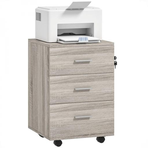 Cajonera de Escritorio con 3 Cajones Ruedas Cerradura 2 Llaves Archivador Móvil para Estudio Salón 40x40x61,5 cm Gris [10]