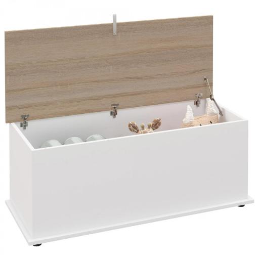 Arcón de Almacenamiento con Tapa Carga Máx. 120 kg para Dormitorio Salón 100x40x40 cm Natural y Blanco [8]