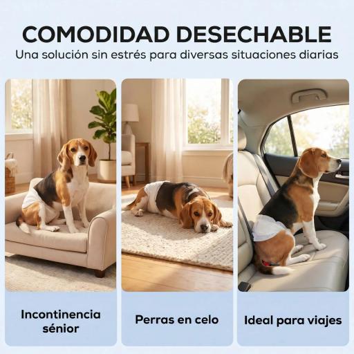 Pañales Desechables para Perros Machos 48 Unidades Súper Absorbentes Antifugas para Cachorros Talla M [1]