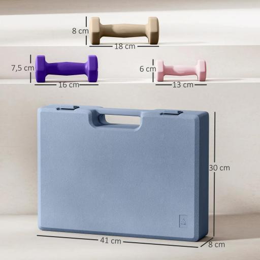 Juego de Mancuernas de 6 Piezas 2 x1 kg 2 x2 kg 2 x3 kg con Estuche de Transporte para Ejercicio en Casa Gimnasio [1]