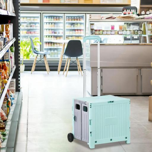 Carrito de la Compra Plegable con 2 Ruedas para Subir Escaleras Ángulo y Longitud de Mango Ajustable 48x43x95 cm Blanco