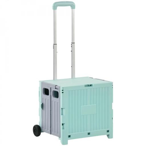 Carrito de la Compra Plegable con 2 Ruedas para Subir Escaleras Ángulo y Longitud de Mango Ajustable 48x43x95 cm Blanco [8]