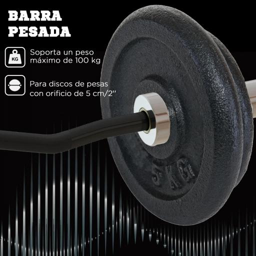 Barra de Pesas de Acero 120 cm Barra Curl EZ con 2 Presillas Carga 100 kg para los Discos de Ø5 cm Negro y Plata [3]