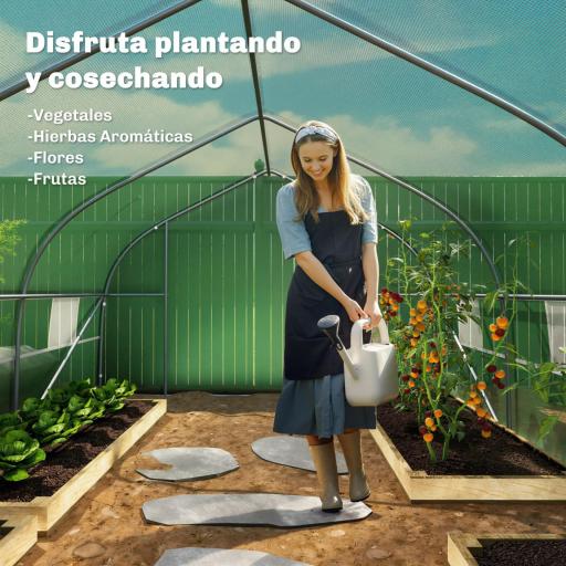 Invernadero de Exterior Invernadero de Túnel 8x3x2 m Invernadero de Jardín con 12 Ventanas y Puerta Enrollable para Cultivo Plantas Tomates Verduras Acero y PE 140 g/m² Verde [3]