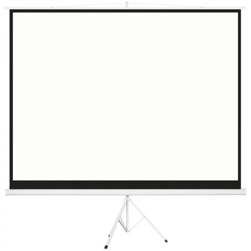 Pantalla de Proyector Manual 120 Pulgadas Pantalla de Proyección Formato 4:3 con Altura Ajustable 244x183 cm Blanco [10]