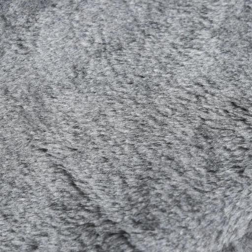 Escalera para Perros de 4 Peldaños Escalera para Mascotas con Funda Extraíble y Lavable para Cama Sofá 60x35x44 cm Gris [6]