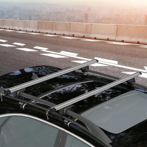 Barras de Techo Universales para Vehículos de Aluminio Bacas Portaequipajes Coche Automóvil Baca para Coche Universales con Cerradura Carga 75 kg 123,5 cm Plata [11]