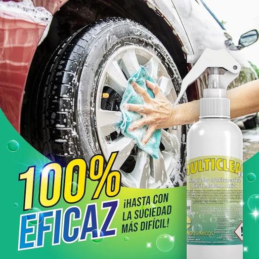 Limpiador Multiclean TR [2]