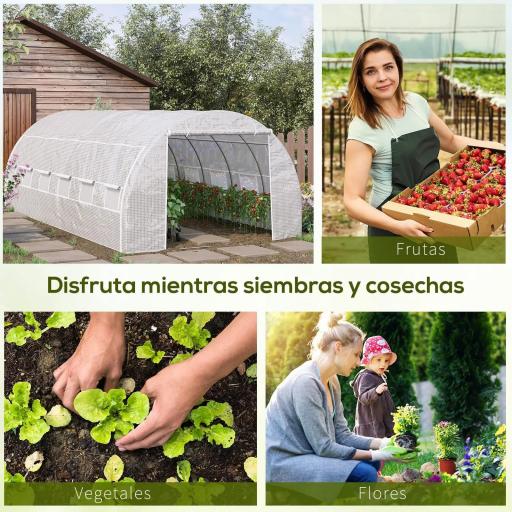 Invernadero de Exterior 6x3x2 m Invernadero de Túnel con Puerta y 12 Ventanas de Malla Enrollables Invernadero de Huerto para Patio Jardín Blanco [4]