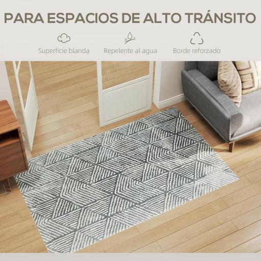 Alfombra Salón 170x120 cm Lavable en Lavadora Pelo Corto Estilo Moderno Tapete para Sala de Estar Dormitorio Gris Oscuro [8]