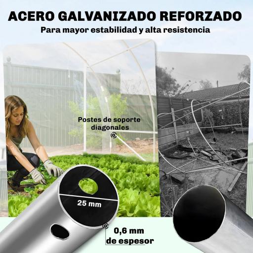 Invernadero de Túnel 6x3x2 m con 2 Puertas Enrollables Estructura de Acero Galvanizado Cubierta PE Anti-UV Transparente [2]