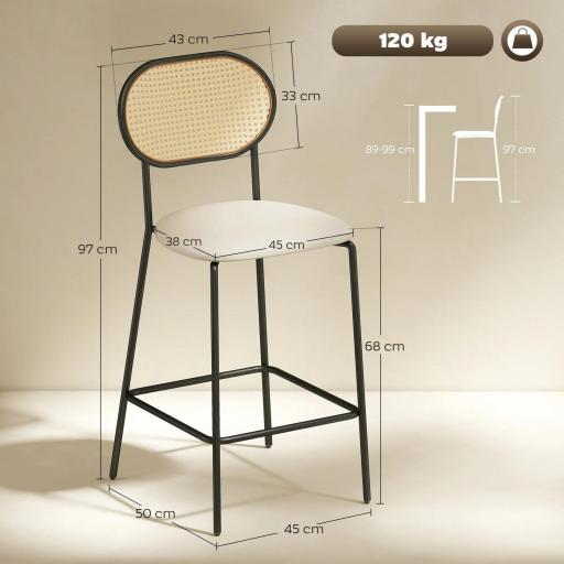 Juego de 2 Altos de Cocina con Respaldo de Ratán Asiento de PU Marco de Acero y Reposapiés Beige [1]