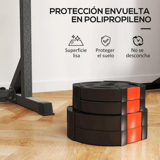 Juego de Discos Pesas de 4 Piezas 2x5 kg 2x2,5 kg con Orificios de 2,5 cm para Entrenamiento Fitness en Hogar Negro [3]