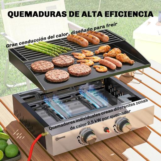Barbacoa de Gas con 2 Quemadores 5 kW Barbacoa Portátil con Plancha Rejilla Calentadora y Recogedor Grasa Negro [2]