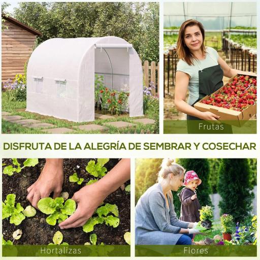 Invernadero de Túnel con Puerta Enrollable y 4 Ventanas para Cultivo Plantas Verduras 245x200x200 cm Blanco [4]