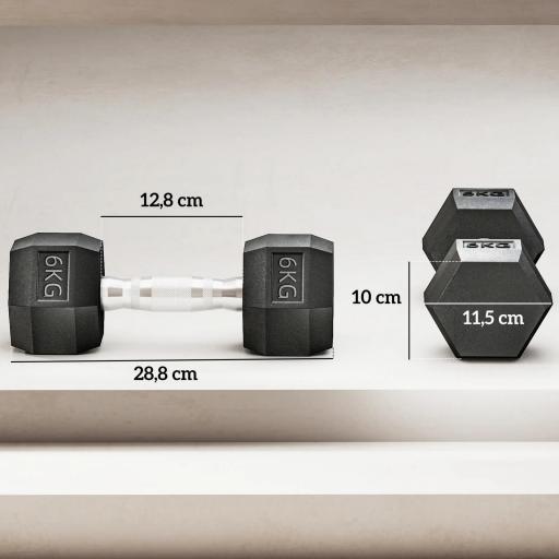 Juego de Mancuernas de 2x6kg con Barra de Conexión Metálica y Cabeza Hexagonal para Entrenamiento en Casa Negro y Plata [2]