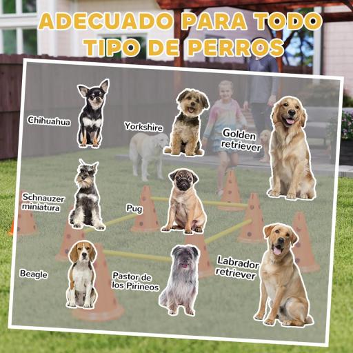 Juego de Agilidad para Perros Vallas de Obstáculos de Entrenamiento de Coordinación 8 Conos 8 Barras Bolsa [7]
